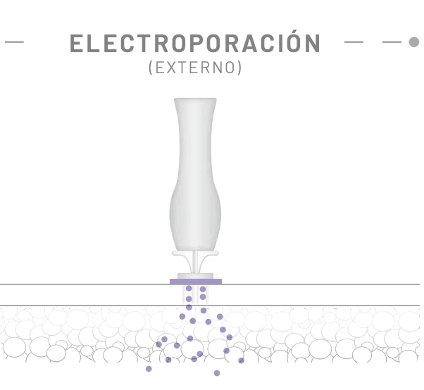 electroporacion