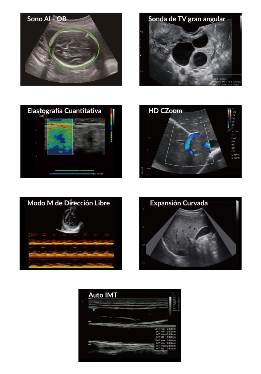 cbit 6 tecnologias